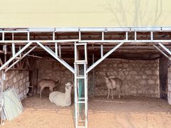 -丽泽山庄·生态怀柔菜·虹鳟鱼(红螺寺店)