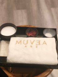 -奥斯芬欧系贵族SPA
