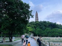 -顺峰山公园