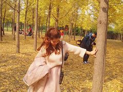 -汉景帝阳陵博物院