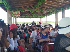 -渔岛海洋度假区