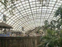 -盛泰恐龙谷温泉