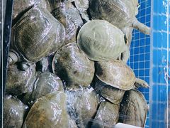 -甲王二老长沙口味馆