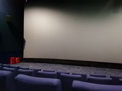 -金逸影城(中关村店)