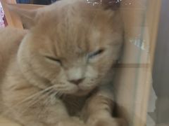 -横岗眼镜城