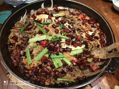 -老板恋上鱼(荣盛广场店)