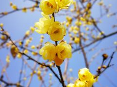 -白塘生态植物园