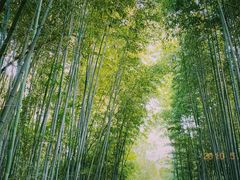 -四门塔风景区