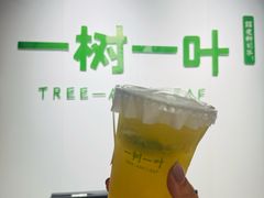 -一树一叶·福建茶档(石鼓路店)