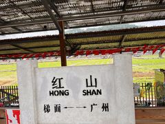 -红山村