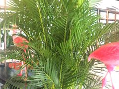 -蔓兰家的四季S0餐厅·融合菜(当代MOMA店)