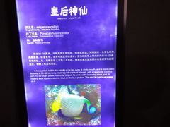 -福州罗源湾海洋世界旅游区