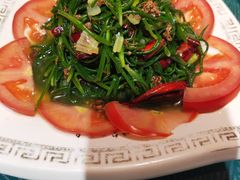 -鹏馨羊羔肉·非遗(新建街店)