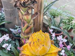 -国家植物园南园