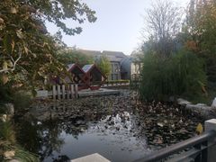 -万源龙顺度假庄园生态观光园