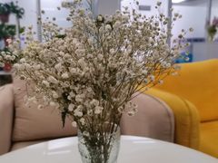 -牛学教育雅思托福PTE·小语种培训(小寨校区)