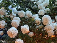 -王捌小院(红花坡店)
