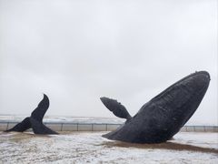 -烟台金沙滩海滨公园