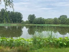 -东郊湿地公园