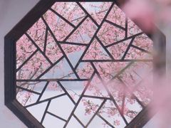 -莫愁湖公园