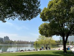 -大宁郁金香公园-停车场