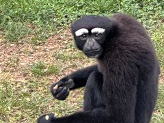 -西霞口神雕山野生动物世界