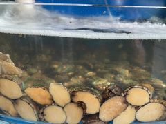 -蓝珊甄选海鲜自助·火锅大排档(近阿那亚店)