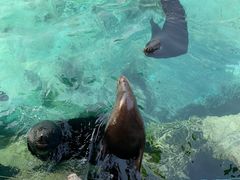 -珠海长隆海洋王国