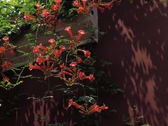 -长春观
