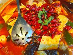 毛血旺-茅庐毛血旺(烟台大悦城店)