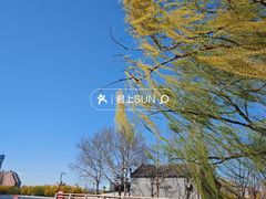 -莲花池公园