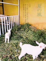 -小蜜蜂农场(凯德七宝购物广场店)