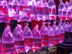 -华声天桥民俗文化园