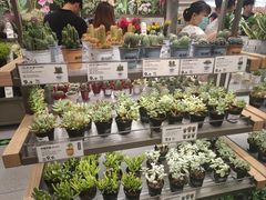-鹿岛生活(熙地港店)