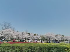 -石湖景区