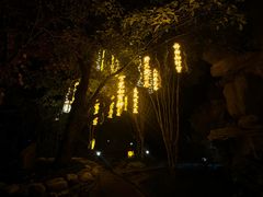 -深业半汤御泉庄温泉