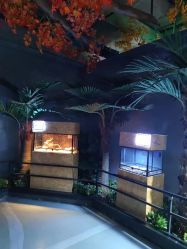 -未来动物城动物主题公园(大悦城店)