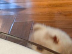 -老傅家湘潭水煮活鱼店(众一国际店)