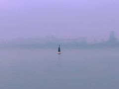 -鹭江宾馆·观海餐厅
