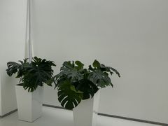 -极简口腔(总院)