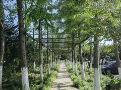 -洪湖家庭农场·团建·露营·会议