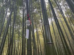 -苏州环秀晓筑养生度假村