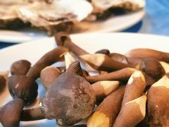 鸡枞菌-千岛蚝高压锅生蚝·人参火锅(白云万达店)