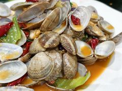 爆炒花蛤螺-小海豚•老字号海鲜餐厅(天涯店)