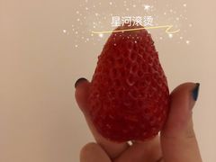 -海底捞火锅(油麻地店)