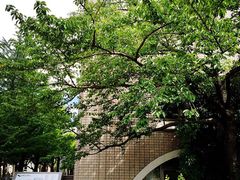 -一兰拉面(新宿中央东口店)