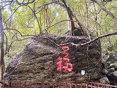 -七仙岭温泉国家森林公园