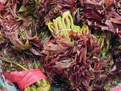 -北京清河镇农副产品交易市场中心