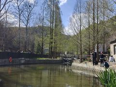 -白水寺森林公园