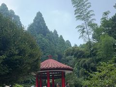 -庐山风景区花径公园